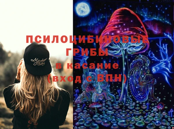 a pvp Вяземский