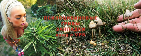 a pvp Вяземский