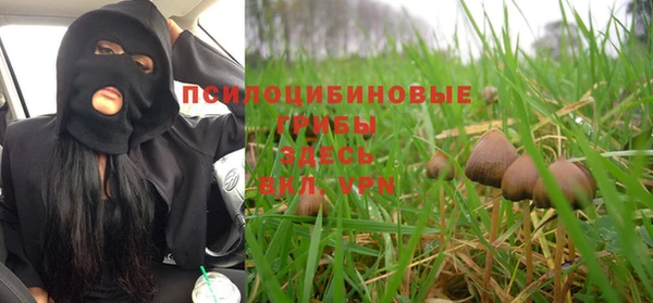 a pvp Вяземский