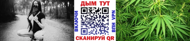 Каннабис OG Kush Коломна
